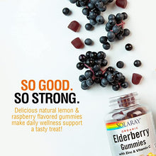 Load image into Gallery viewer, Organic Elderberry Gummies w/Zinc &amp; Vitamin C | Healthy Immune System Support