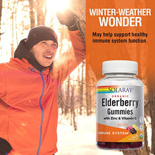 Load image into Gallery viewer, Organic Elderberry Gummies w/Zinc &amp; Vitamin C | Healthy Immune System Support