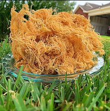 Load image into Gallery viewer, Sea Moss (wild crafted)
