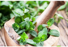 Load image into Gallery viewer, 100% Pure Essential Oils